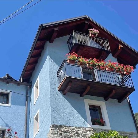 Casa Del Cios Calda E Intima Casetta Immersa Nel Verde Delle Montagne Alpe Basciumo Экстерьер фото