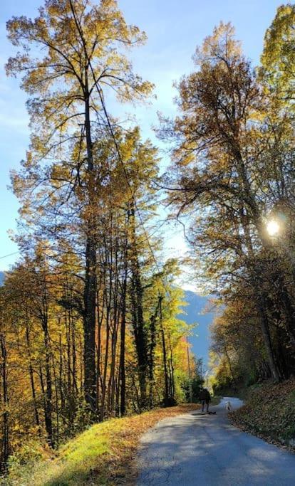 Casa Del Cios Calda E Intima Casetta Immersa Nel Verde Delle Montagne Alpe Basciumo Экстерьер фото