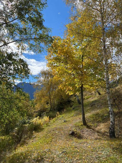 Casa Del Cios Calda E Intima Casetta Immersa Nel Verde Delle Montagne Alpe Basciumo Экстерьер фото