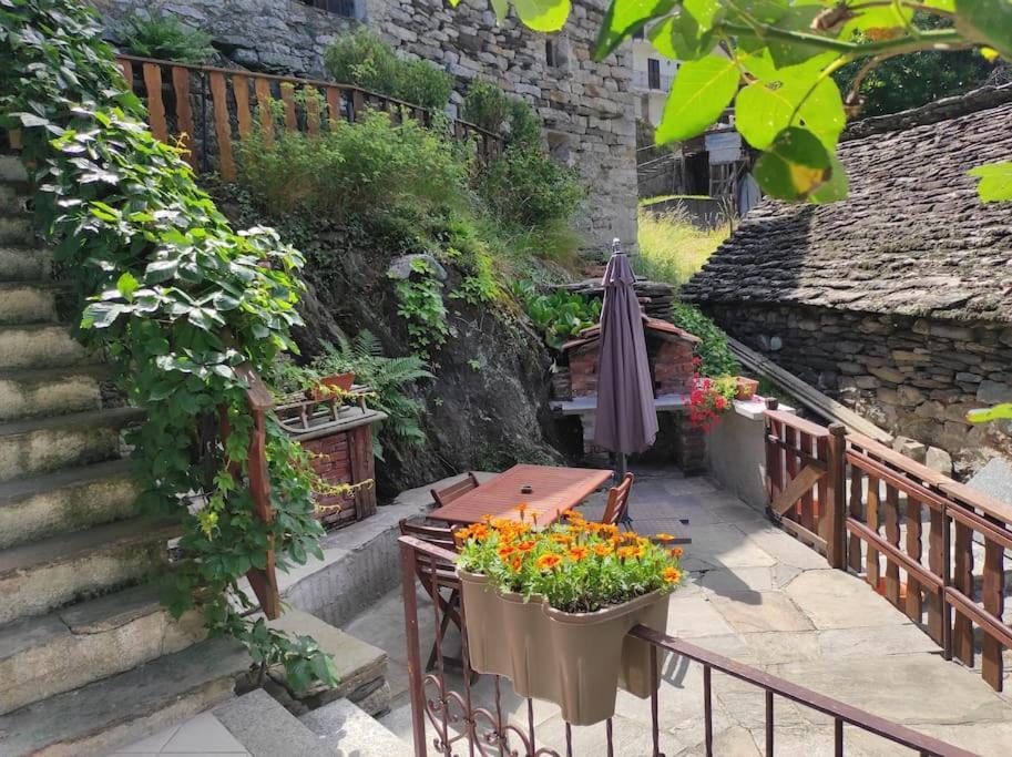 Casa Del Cios Calda E Intima Casetta Immersa Nel Verde Delle Montagne Alpe Basciumo Экстерьер фото