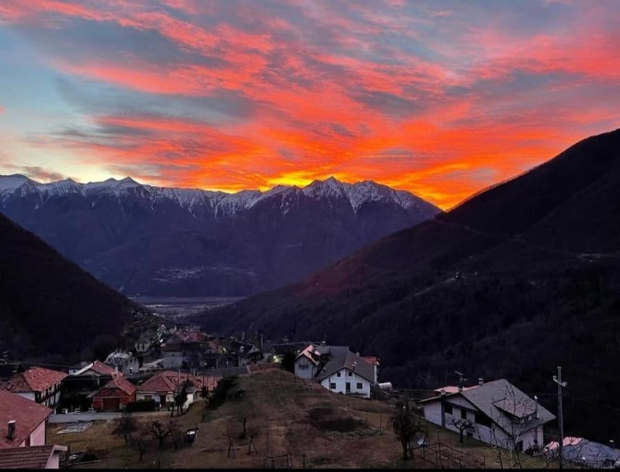 Casa Del Cios Calda E Intima Casetta Immersa Nel Verde Delle Montagne Alpe Basciumo Экстерьер фото