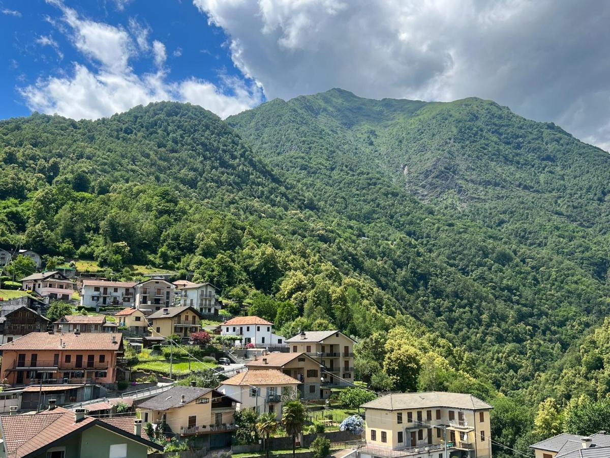 Casa Del Cios Calda E Intima Casetta Immersa Nel Verde Delle Montagne Alpe Basciumo Экстерьер фото